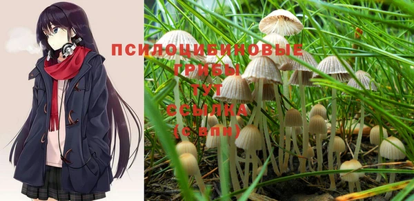 амф Абинск