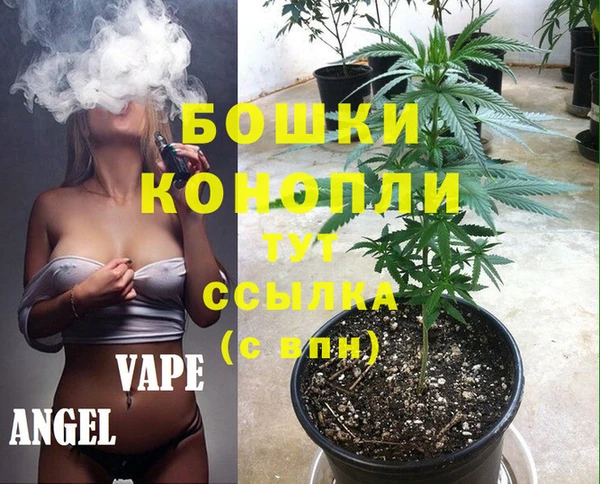винт Абаза