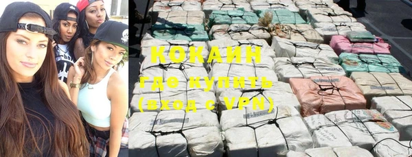 винт Абаза