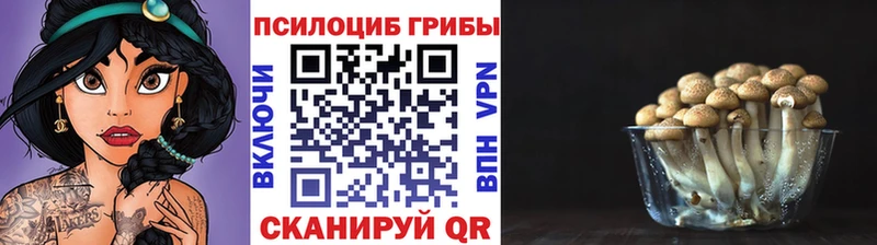 Галлюциногенные грибы MAGIC MUSHROOMS что такое наркотик Химки