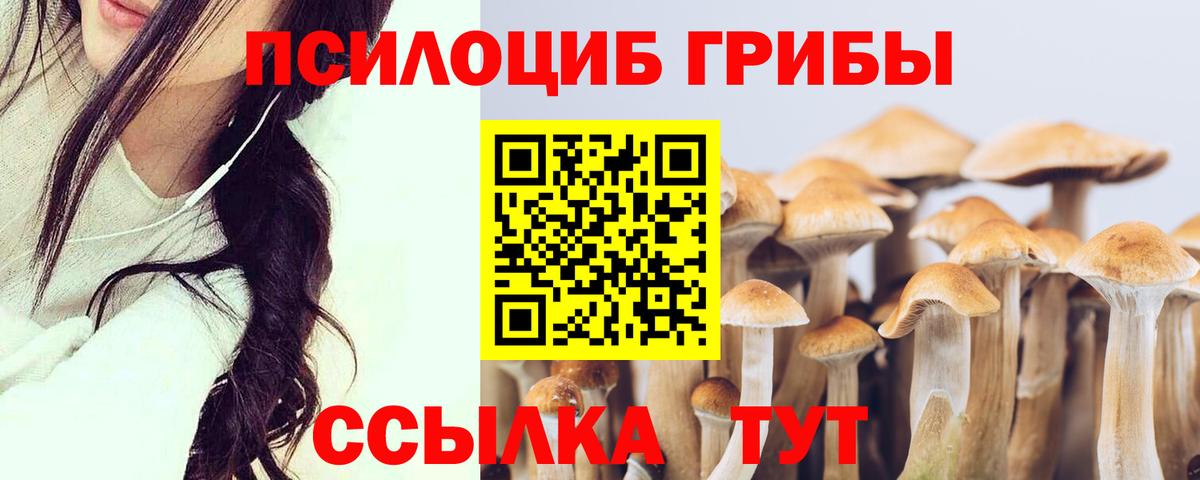 Химки  Галлюциногенные грибы мицелий  Вход с VPN  Галлюциногенные грибы прущие грибы 