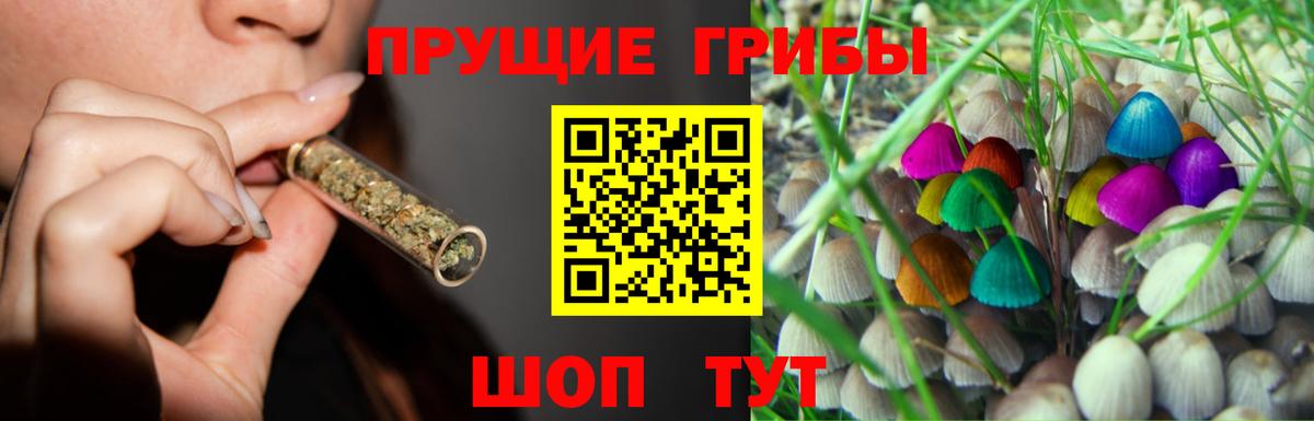 Химки  Псилоцибиновые грибы мухоморы  Галлюциногенные грибы ЛСД  Вход с VPN 